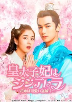 皇太子妃はシンデレラ〜花嫁は可愛い盗賊!?〜（全27話）(字幕)