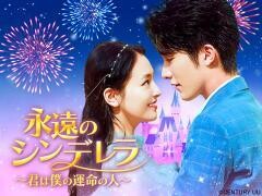 永遠のシンデレラ〜君は僕の運命の人〜（全40話）（字幕）
