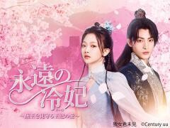 永遠の冷妃〜燕王を見守る王妃の愛〜（全10話）(字幕)
