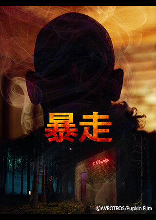 暴走(字幕)
